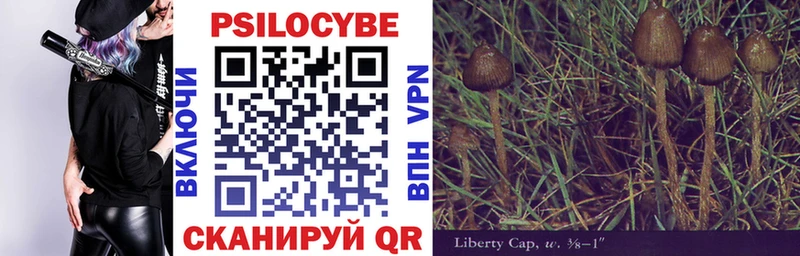 Псилоцибиновые грибы мицелий  Орехово-Зуево 